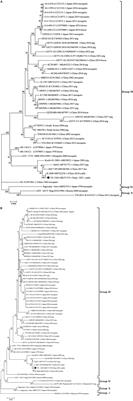 Seroepidemiological investigation of Getah virus in the China-Myanmar border area from 2022-2023